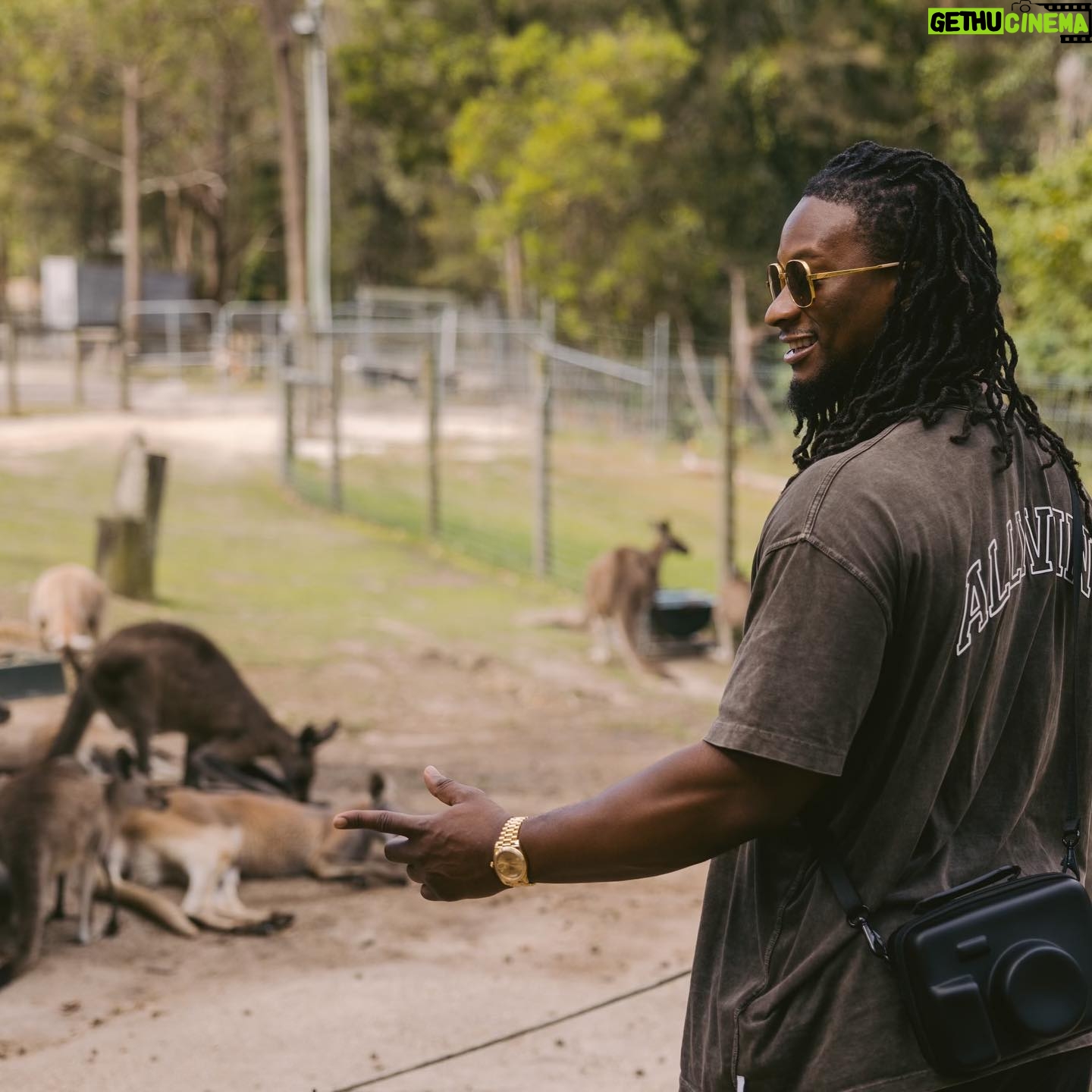 Todd Gurley - 23.9K Likes - 🇦🇺🖤
