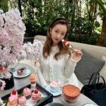 Tomomi Itano Instagram – お花見🌸

なんまいめ？

🍓団子かわい。花より団子🍡

Rosyのシースルージャガードtopsお気に入り🫶🏻

@kimptonshinjukutokyo 

#キンプトン新宿東京
#お花見