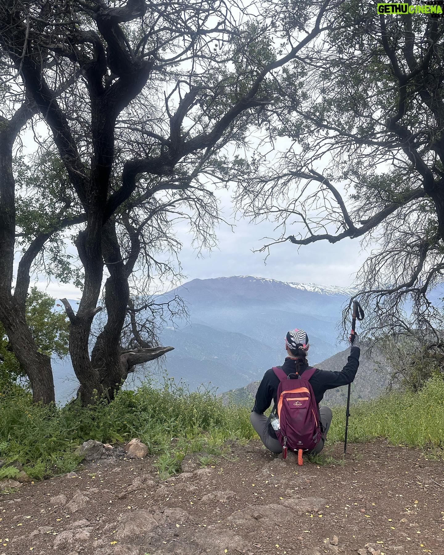 Tonka Tomicic Instagram - Y llegamos al #pochoco 1.804 m. Laaarga caminata, desafiante y muy entretenida! El esfuerzo siempre es compensado cuando llegamos a la cima pero quedaba lo más complicado: bajar. Comparto algunas de las hermosas flores que embellecen el camino. #equipo 💪🏻♥️⛰️