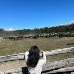 Tonka Tomicic Instagram - #patagonia ♥️🐴♥️