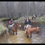 Tonka Tomicic Instagram - Día 9 #villaohiggins 🐎 En el sector Mayer, frente al glaciar azul, 3 horas de cabalgata acompañados por los perritos más fieles e intrépidos, nos acercamos a la frontera de Chile con Argentina. Gran grupo! De derecha a izquierda: Roberto, Cecilia, Aliro, Enrique y Don Remigio. Gracias por la cabalgata y las lentejas!!! #villaohiggins #mayer #patagonia 🇨🇱♥️