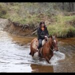 Tonka Tomicic Instagram - Día 9 #villaohiggins 🐎 En el sector Mayer, frente al glaciar azul, 3 horas de cabalgata acompañados por los perritos más fieles e intrépidos, nos acercamos a la frontera de Chile con Argentina. Gran grupo! De derecha a izquierda: Roberto, Cecilia, Aliro, Enrique y Don Remigio. Gracias por la cabalgata y las lentejas!!! #villaohiggins #mayer #patagonia 🇨🇱♥️