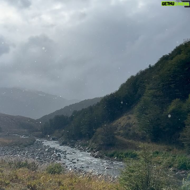 Tonka Tomicic Instagram - Es mi regreso a la #patagonia y no me deja de sorprender. Quiero compartirlo! porque encontrarse con seis huemules pasa solo una vez en la vida ♥️ #huemul #reservacerrocastillo #chile #patagonia #carreteraaustral