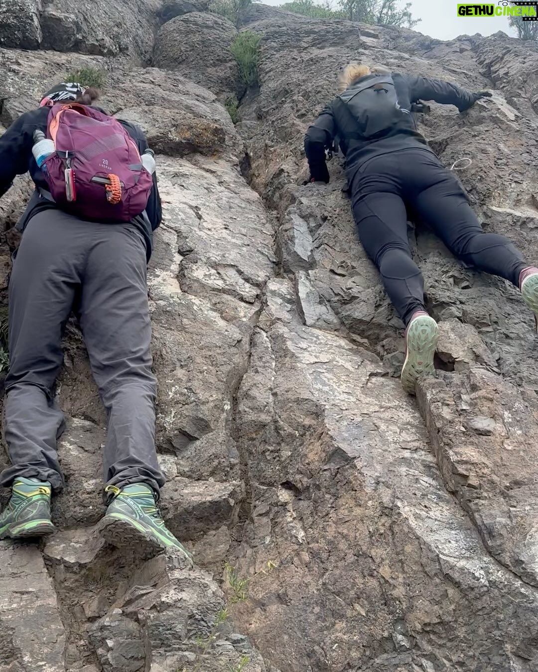 Tonka Tomicic Instagram - Y llegamos al #pochoco 1.804 m. Laaarga caminata, desafiante y muy entretenida! El esfuerzo siempre es compensado cuando llegamos a la cima pero quedaba lo más complicado: bajar. Comparto algunas de las hermosas flores que embellecen el camino. #equipo 💪🏻♥️⛰️