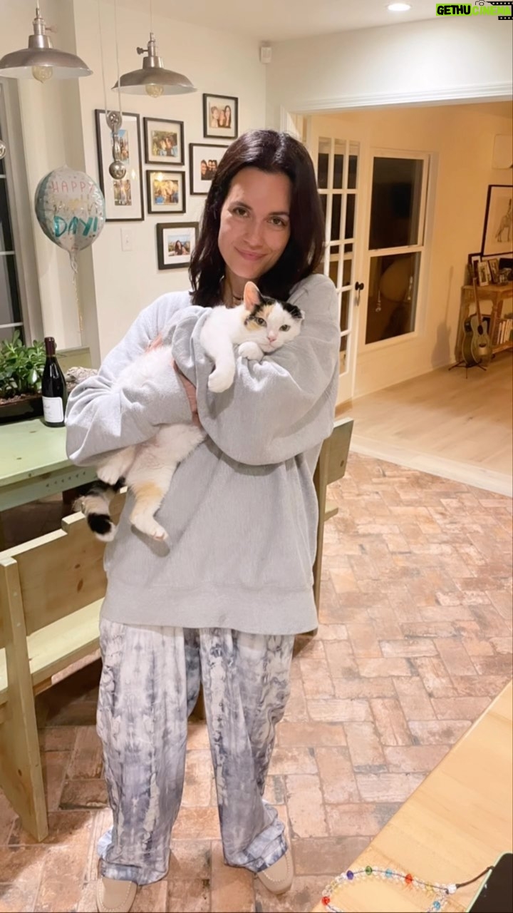 Torrey DeVitto Instagram - Cosette started off as one of the outdoor cats I was feeding and quickly let it be known she wanted to be inside with the rest of the family. We could not resist! đ¤ Little did we know at the time, she was pregnant! đ¤ She quickly took to our home, became instant(ish) friends with all the dogs and even fell in love with my two year old niece. She knew what she was looking for when she came knocking on our door, we were the ones who had no idea how much our love was about to expand ! đ¤ She had her first kitten at 11:40 pm on July 5th with the other four babies entering the world after midnight. What a beautiful journey and process this has been to witness! đ¤ Thanks for choosing us, Cosette!