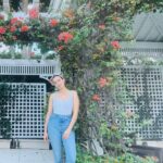 Torrey DeVitto Instagram - Relaxed • Rejuvenated • Rested Thank you @palmshotelmiami for not just a lovely stay, but a truly green 🍃 stay! So special staying at a hotel that puts the environment and wellness first. We will be back!