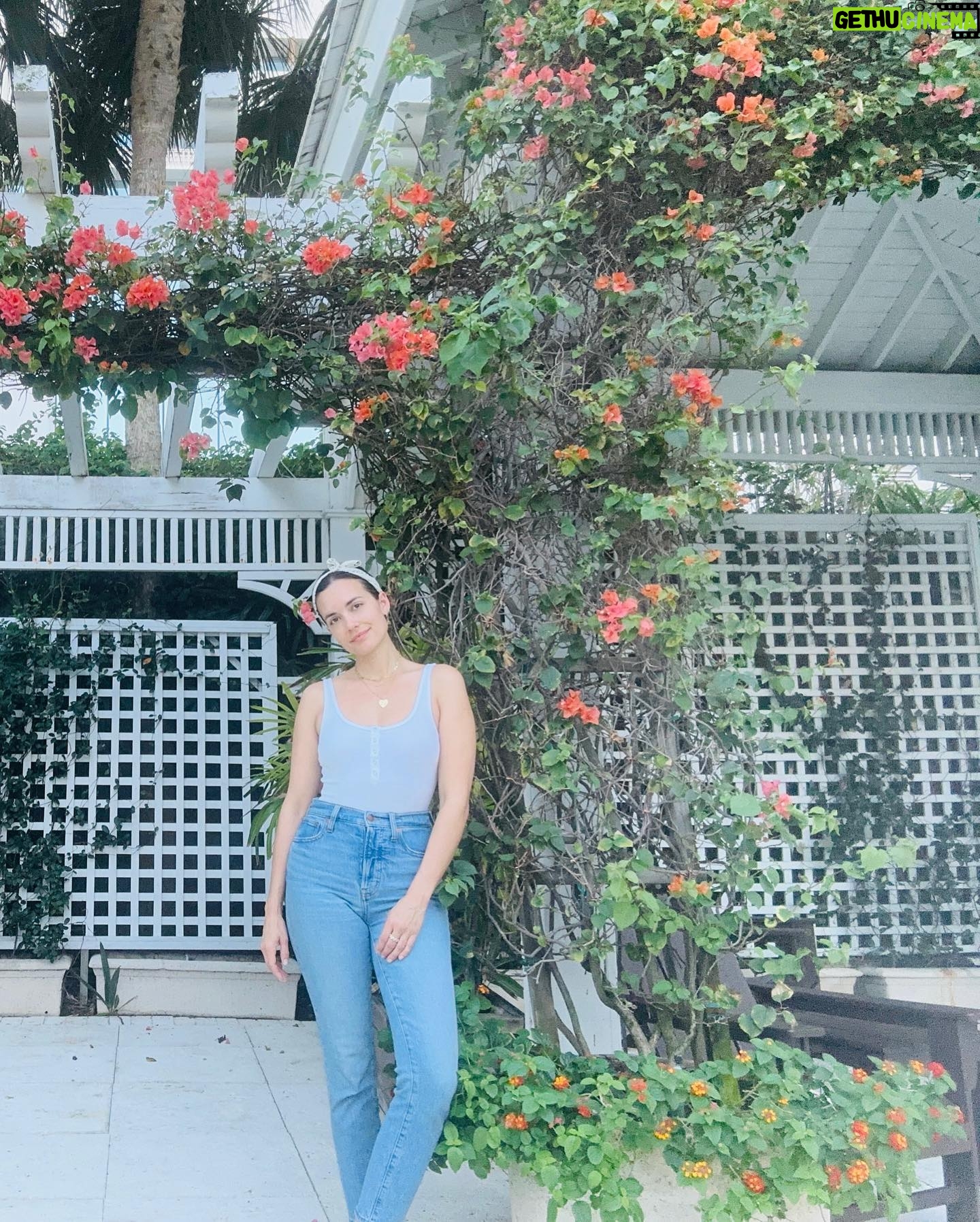 Torrey DeVitto Instagram - Relaxed • Rejuvenated • Rested Thank you @palmshotelmiami for not just a lovely stay, but a truly green 🍃 stay! So special staying at a hotel that puts the environment and wellness first. We will be back!