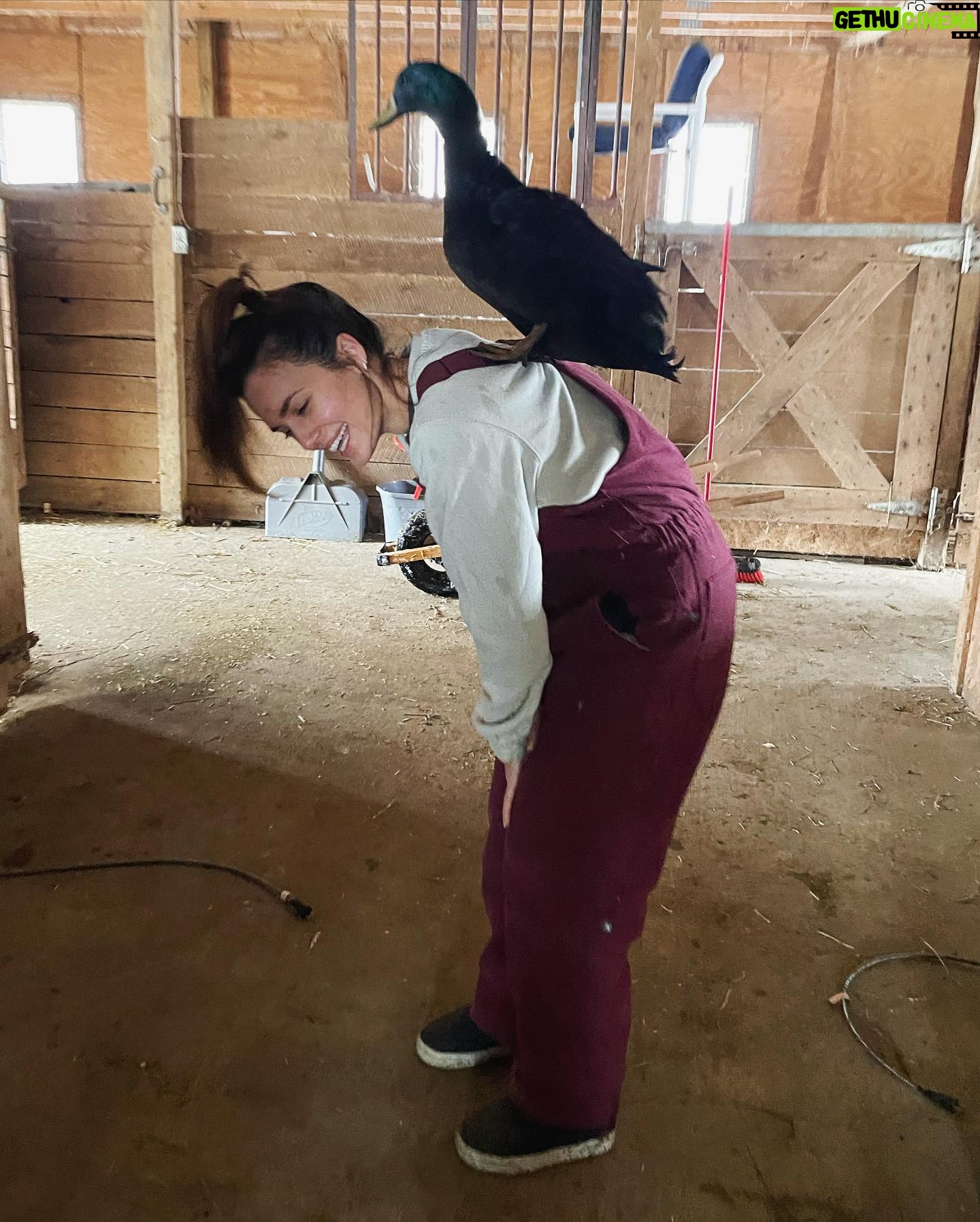 Torrey DeVitto Instagram - Weekends with my favorite guy, Quasi. This duck has the biggest, most unique personality. He is definitely the king of the barn! 💚