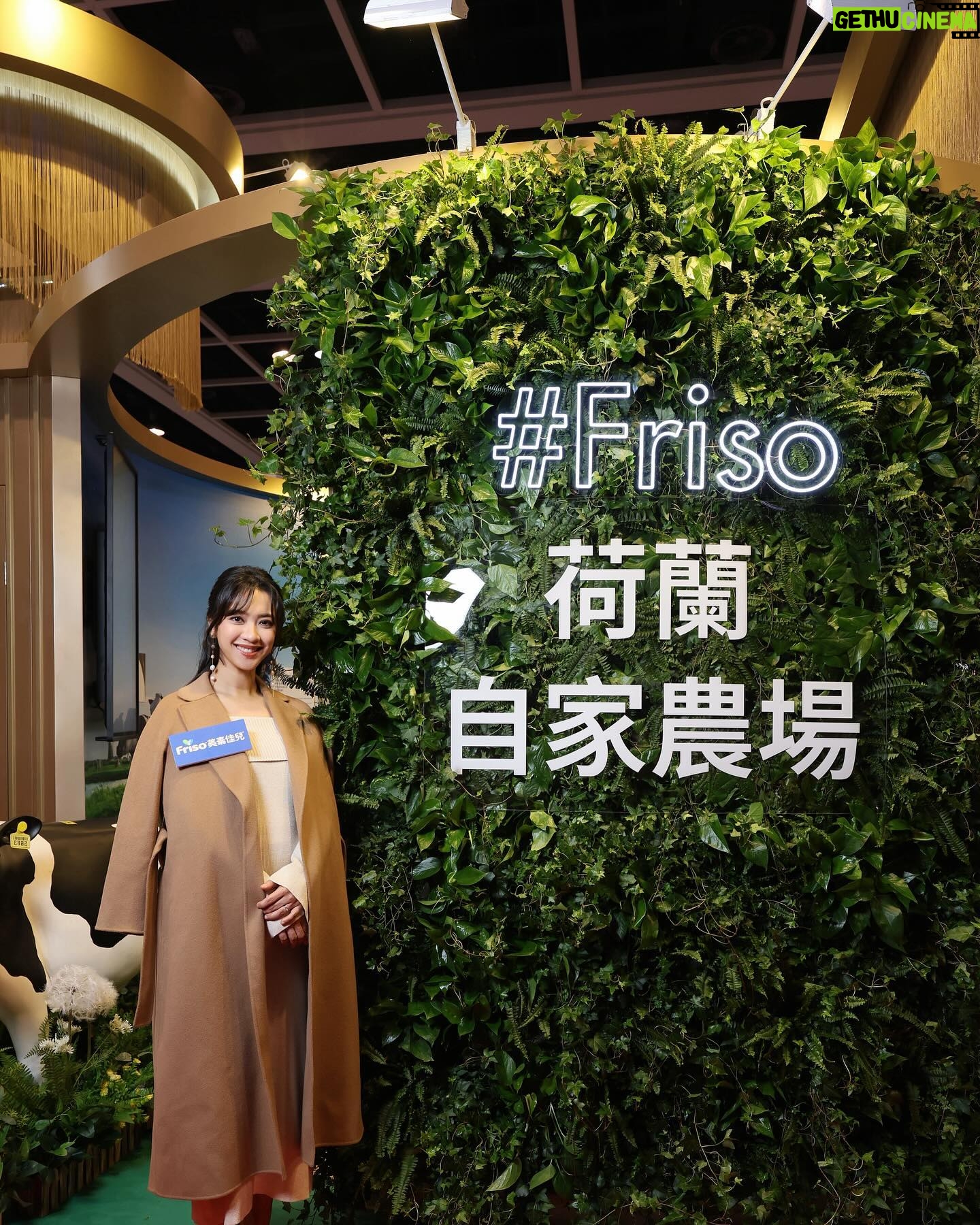 Tracy Chu Instagram - Work was busy in February, but looks like March will be even busier. πΌβπ»πThanks @friso_hk for allowing me to get all the nutrients I need effortlessly. π₯π