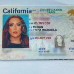 Trevi Moran Instagram - I got my b00biez, gained new friends, became a HOMEOWNER (!!!), starred in makeup campaigns, got my new ID, and so much more… 2023 was full of brand new beginnings. It was a fabulous year tbh & I’m so glad I spent it sober. Thank you for the support & let’s have an amazing 2024!!! 🎊