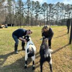 Tricia Helfer Instagram - Finally got to meet Bruna!!!! And of course she wanted to meet the goats, as an animal lover does 😘. So lovely having you and @chrisrafferty out to GA!