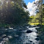 Tricia Helfer Instagram – Beautiful locations today.  Gorgeous ☀️ day.  #NotComplaining #filming