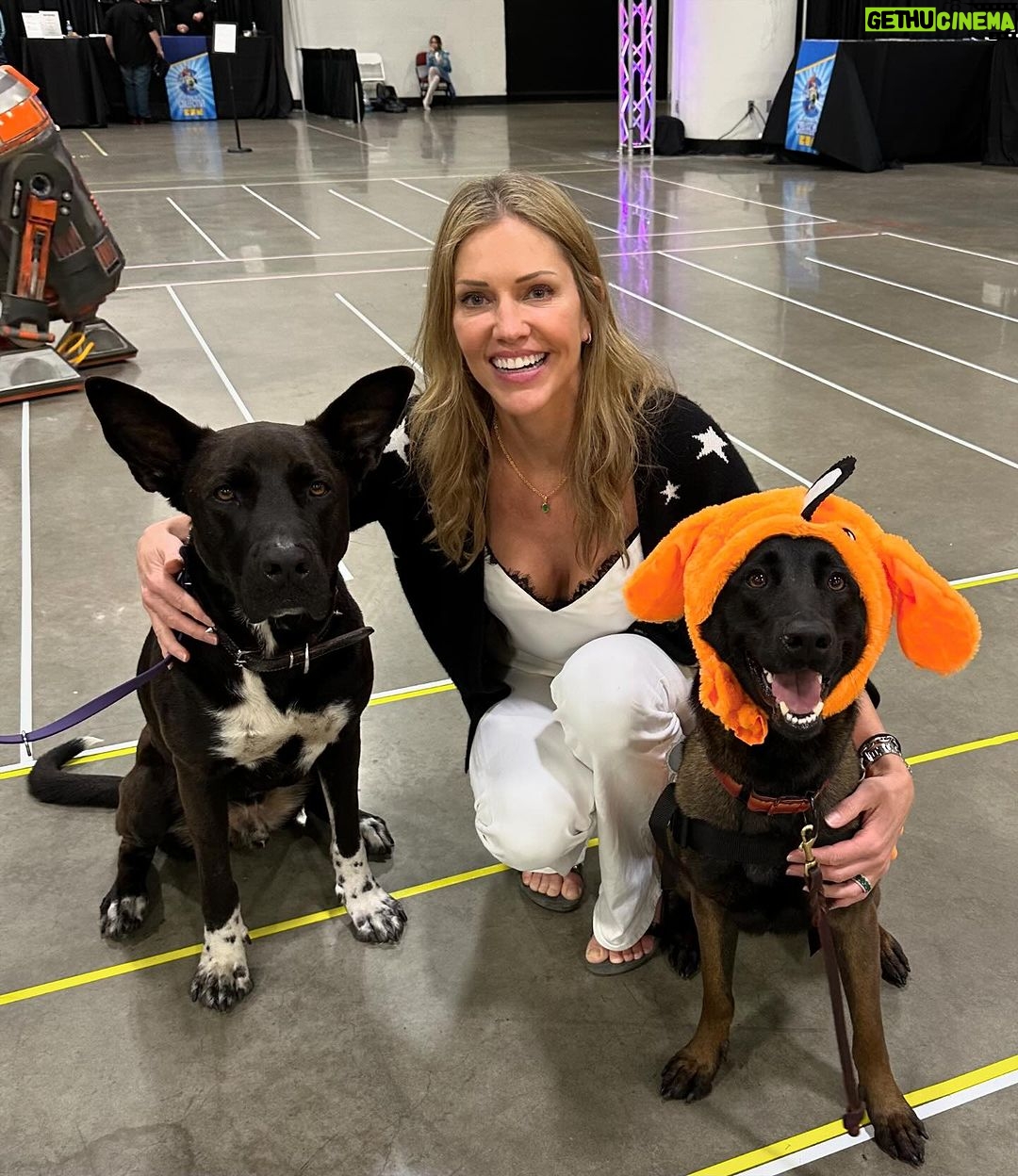 Tricia Helfer Instagram - Just met these cuties @highcaliber_k9s at @collectiveconvention πππΎπΎ