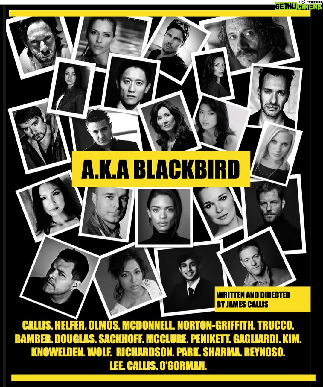 Tricia Helfer Instagram - So proud of @james_callis with his vision #blackbird out for purchase on Google Play and Storytel. Great stocking stuffer, I would think. Can’t wait to hear what you think of this audiobook. I had so much fun taping my part!