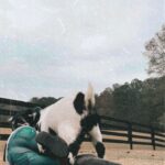 Tricia Helfer Instagram - This is what happens when I tell Larry to “be nice” 🤷🏼‍♀️ #goatsofinstagram #farmlife