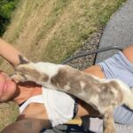 Tricia Helfer Instagram - Trying to relax for 10min after a long day of mowing Dad’s farmyard and it goes something like this. #theyfindmeeverywhere #alberta #farmlife