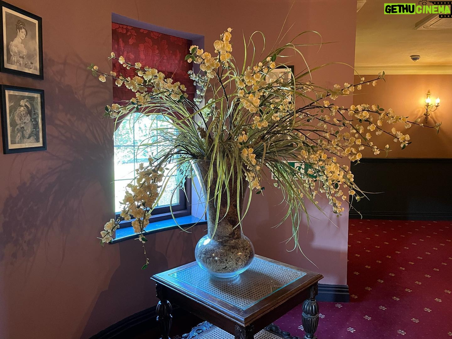 Tricia Helfer Instagram - I made it. Rather charming hotel that I wanna walk around but can’t due to my recovering knee…so it’s a nap that’s in order before work this evening. #england