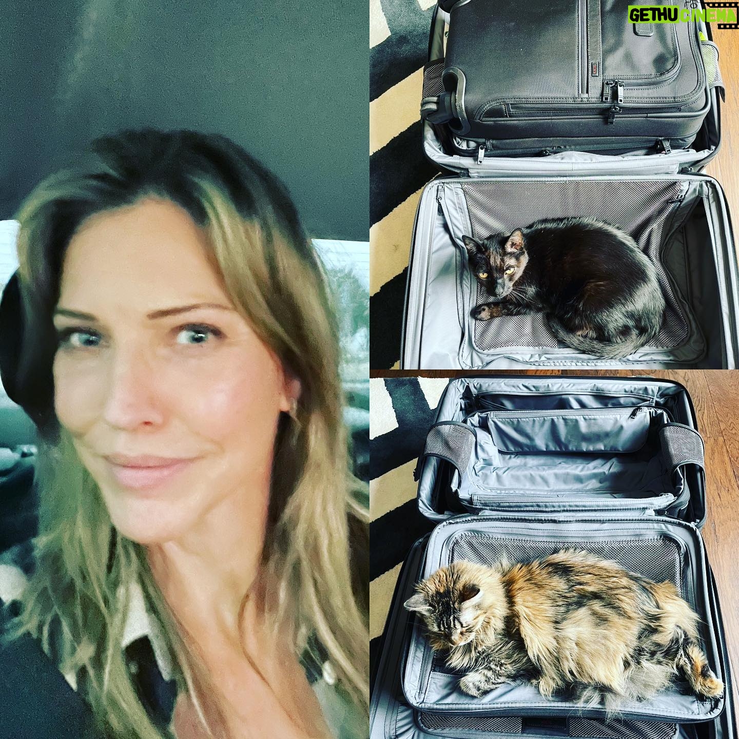 Tricia Helfer Instagram - Landed into a foggy LA…and the situation when I was packing this morning. Momma don’t leave!!!!! Two days of yearly doc appointments and then turning around back to the east coast for #LuciConNJ (Sun only).