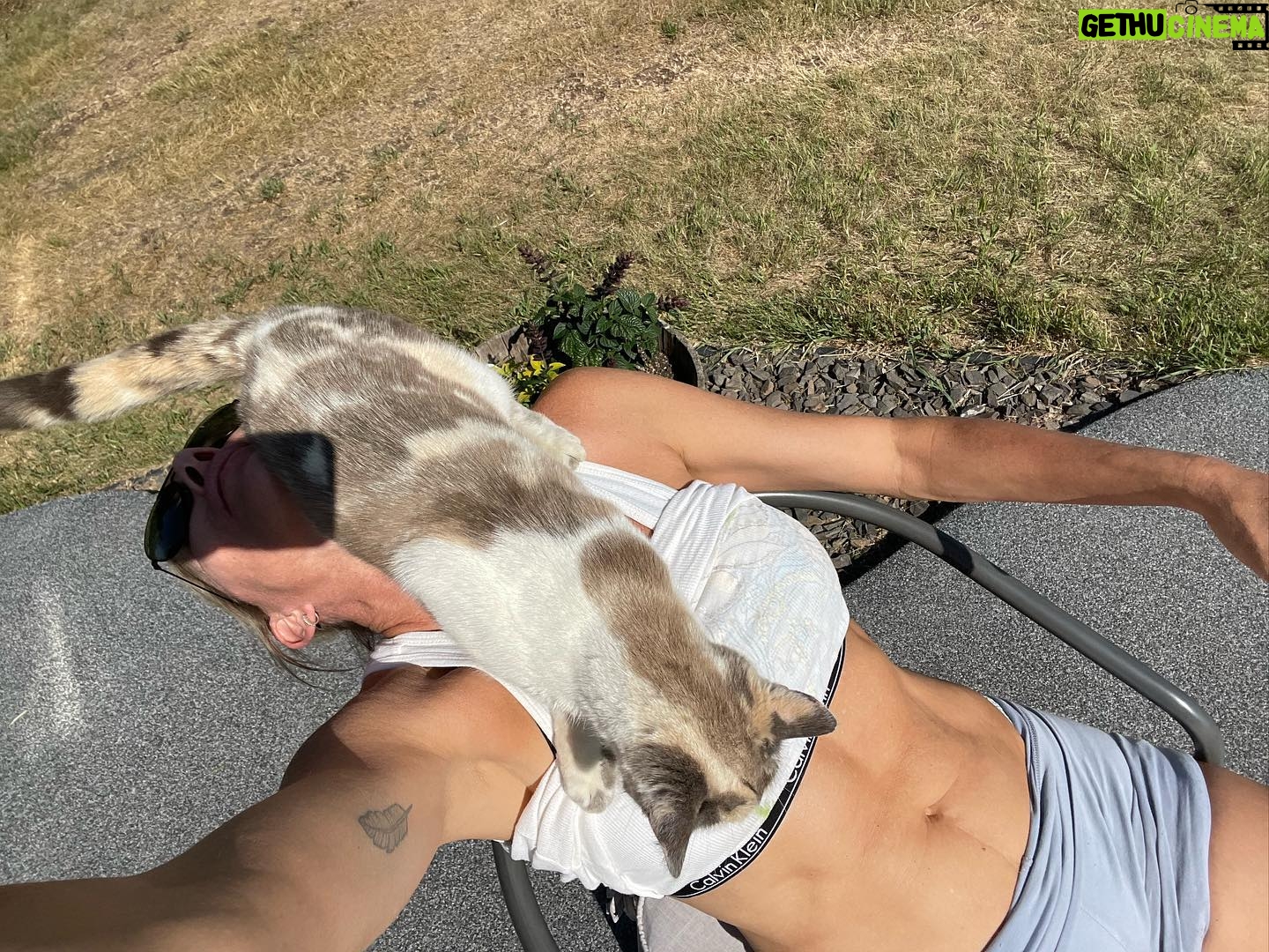 Tricia Helfer Instagram - Trying to relax for 10min after a long day of mowing Dad’s farmyard and it goes something like this. #theyfindmeeverywhere #alberta #farmlife