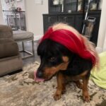 Trinity Instagram – Rip me out the plastic I been acting brand new wood woof @tankandmarleyfatu