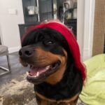 Trinity Instagram – Rip me out the plastic I been acting brand new wood woof @tankandmarleyfatu