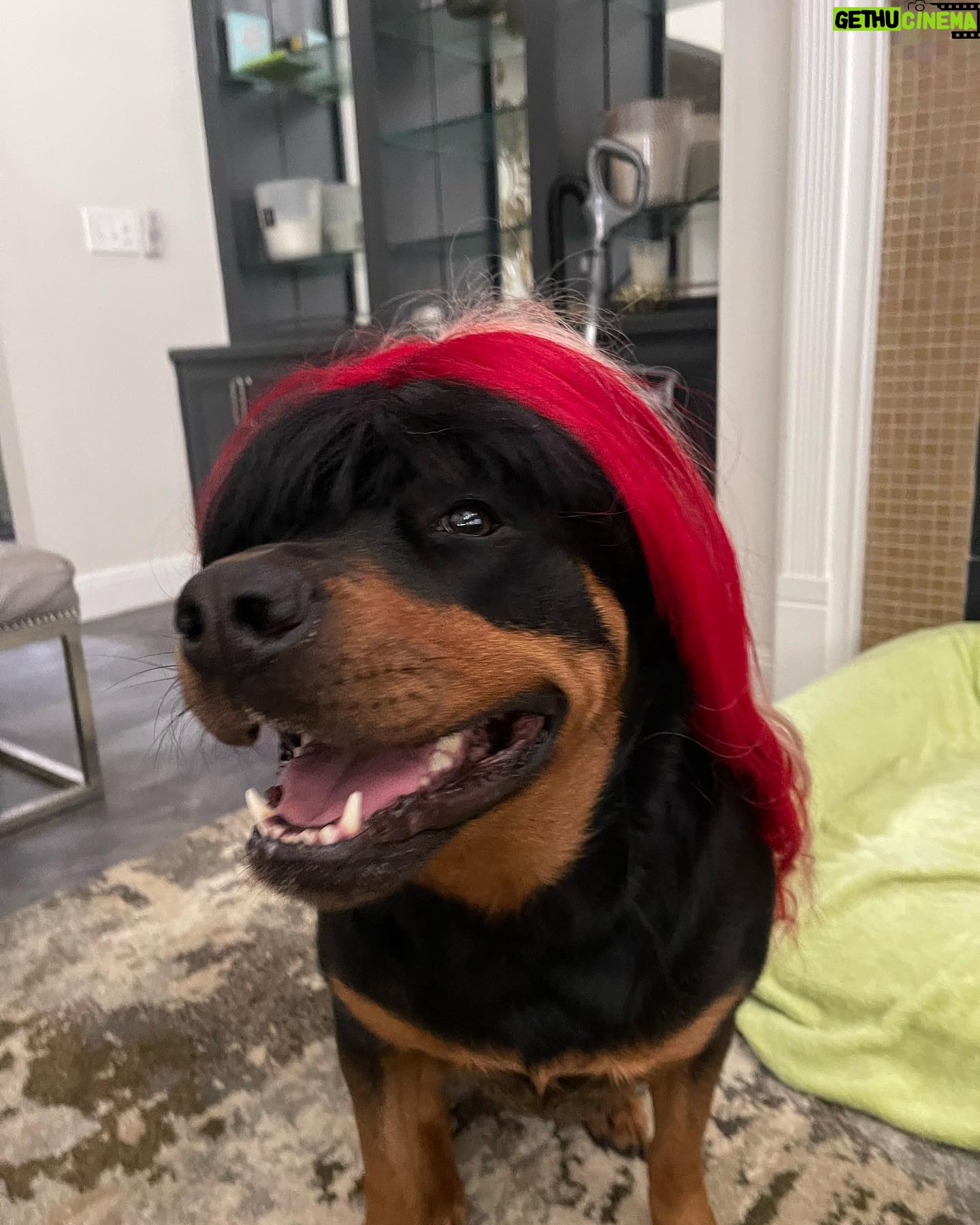 Trinity Instagram - Rip me out the plastic I been acting brand new wood woof @tankandmarleyfatu