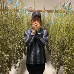 Trippie Redd Instagram - Weeeeeeeeed ! Would you smoke my strands ? We could all be the same high together 🤪