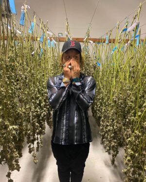 Trippie Redd Instagram - Weeeeeeeeed ! Would you smoke my strands ? We could all be the same high together 🤪