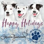 Trisha Yearwood Instagram – Merry Christmas and Happy Holidays to all creatures great and small! xo 🐾 #DottiesYard