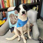 Trisha Yearwood Instagram – The #DottiesYard bandanas are on the way! Mack says to tag me with pics of your pups with their new accessory so he (we) can see!! xo 🐾