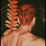 Triz Pariz Instagram - 31 e 01