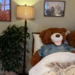 Tsai Jui-hsueh Instagram - 吃到人生最好吃的藍莓乳酪貝果🥯ʕ •ᴥ•ʔ 裡面有好多隻小熊🐻 很溫馨的咖啡廳💓 📍 漢南洞 cafe @_bbb.official 🩶 洋裝外套 @allsaintstaiwan