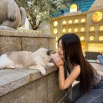 Tsai Jui-hsueh Instagram - 這世界上不能沒有貓貓ฅ^•ﻌ•^ฅ