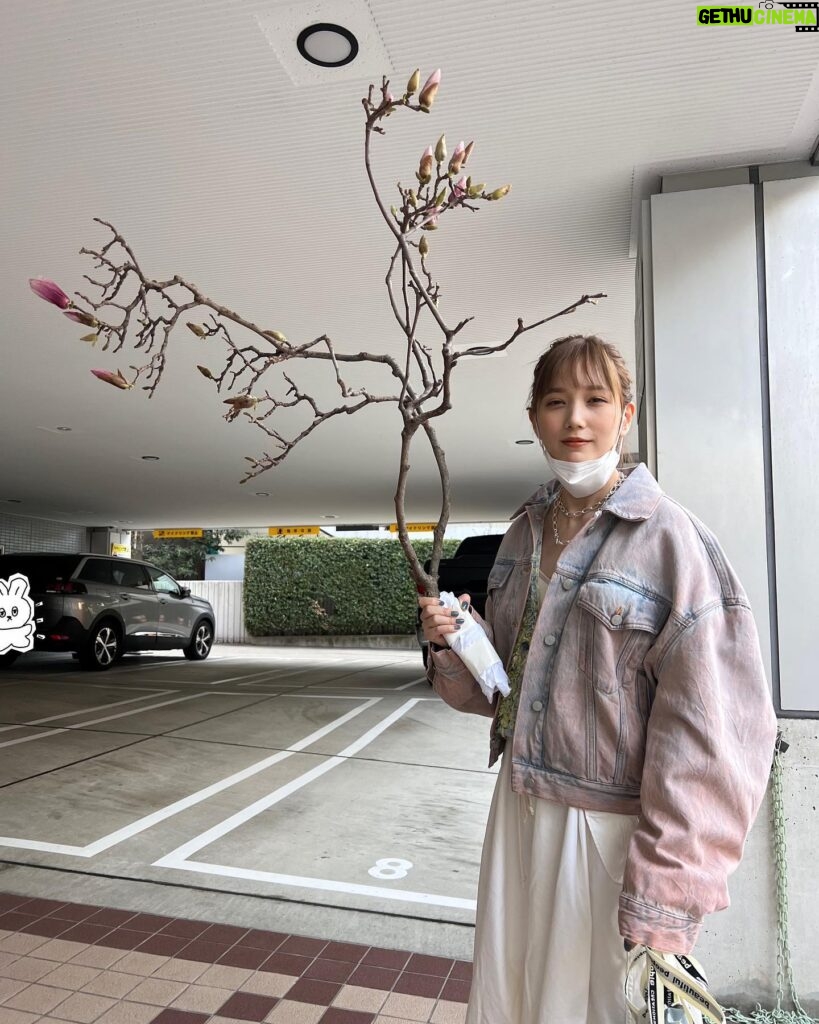 Tsubasa Honda Instagram - 🌴 枝もらったよー🥳 花咲くらしいよー🌷