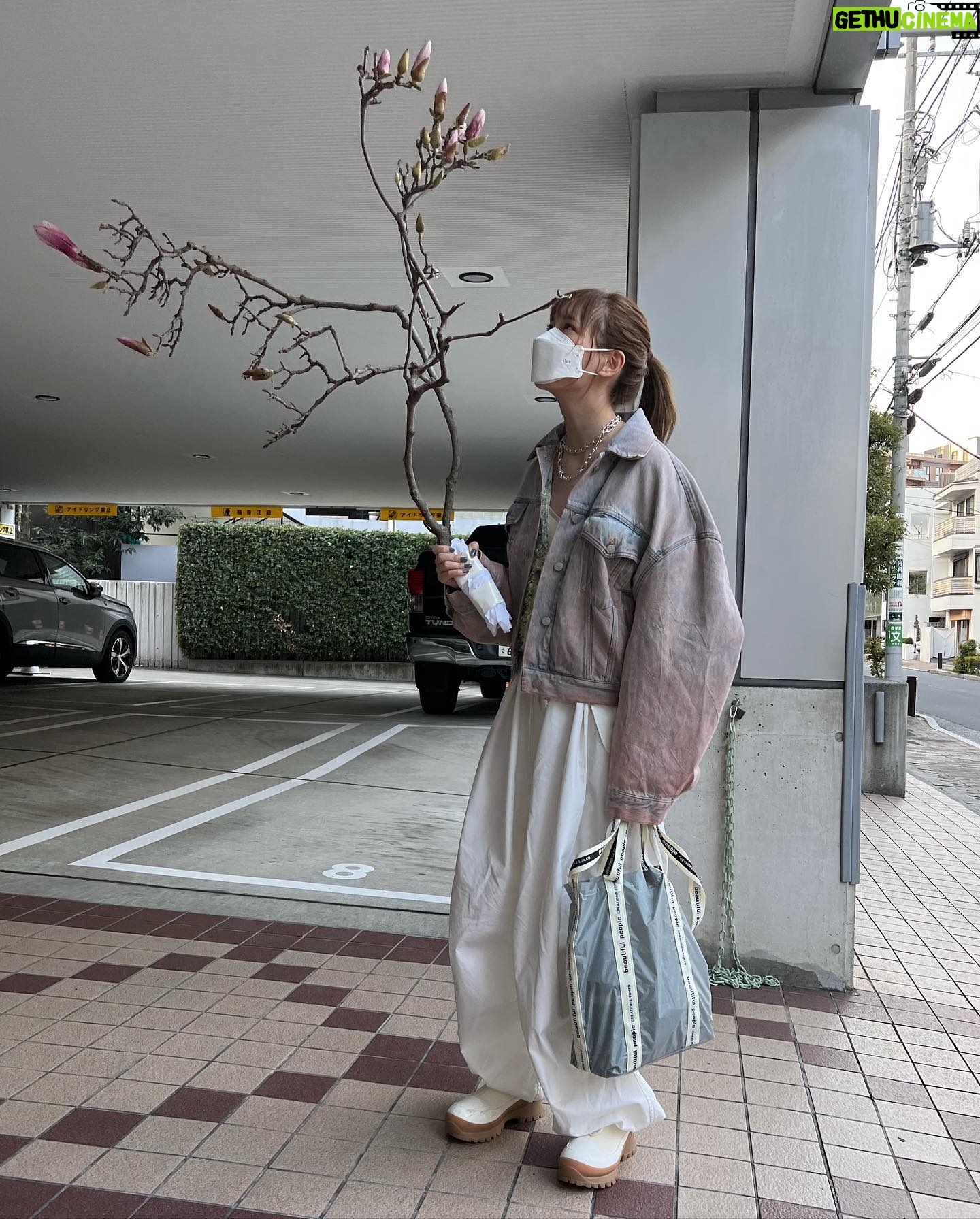 Tsubasa Honda - 210.7K Likes - 🌴
枝もらったよー🥳
花咲くらしいよー🌷