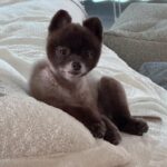 Tsubasa Honda Instagram - 🐕‍🦺 なんかやさぐれてない？