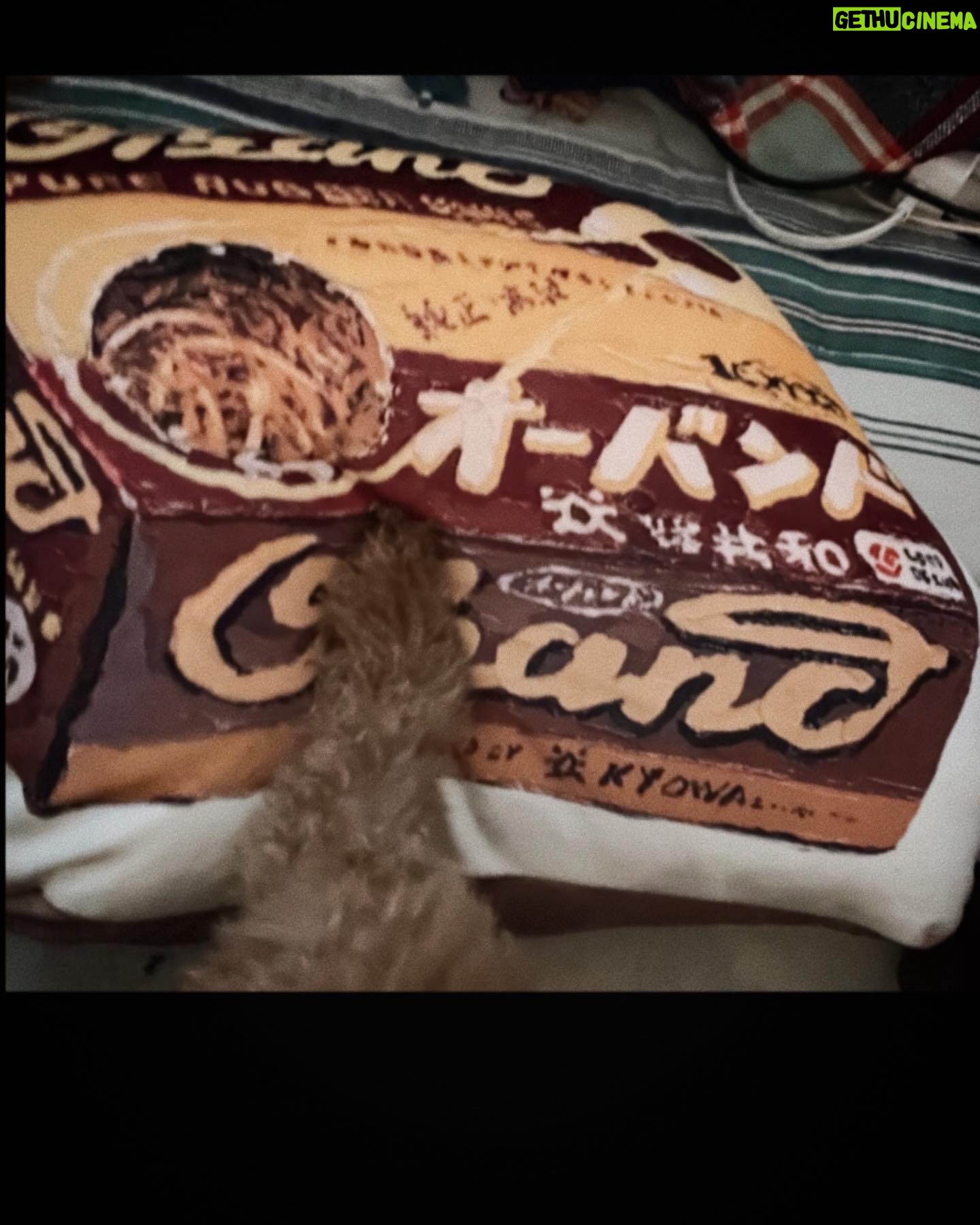 Tsubasa Honda Instagram - 🐶 あの懐かしの、輪ゴムがいっぱい入ってる箱の、 クッション。しかもめちゃくちゃふわふわで。 最近またインテリアが楽しくなってきました🕯️ @nikoand_official