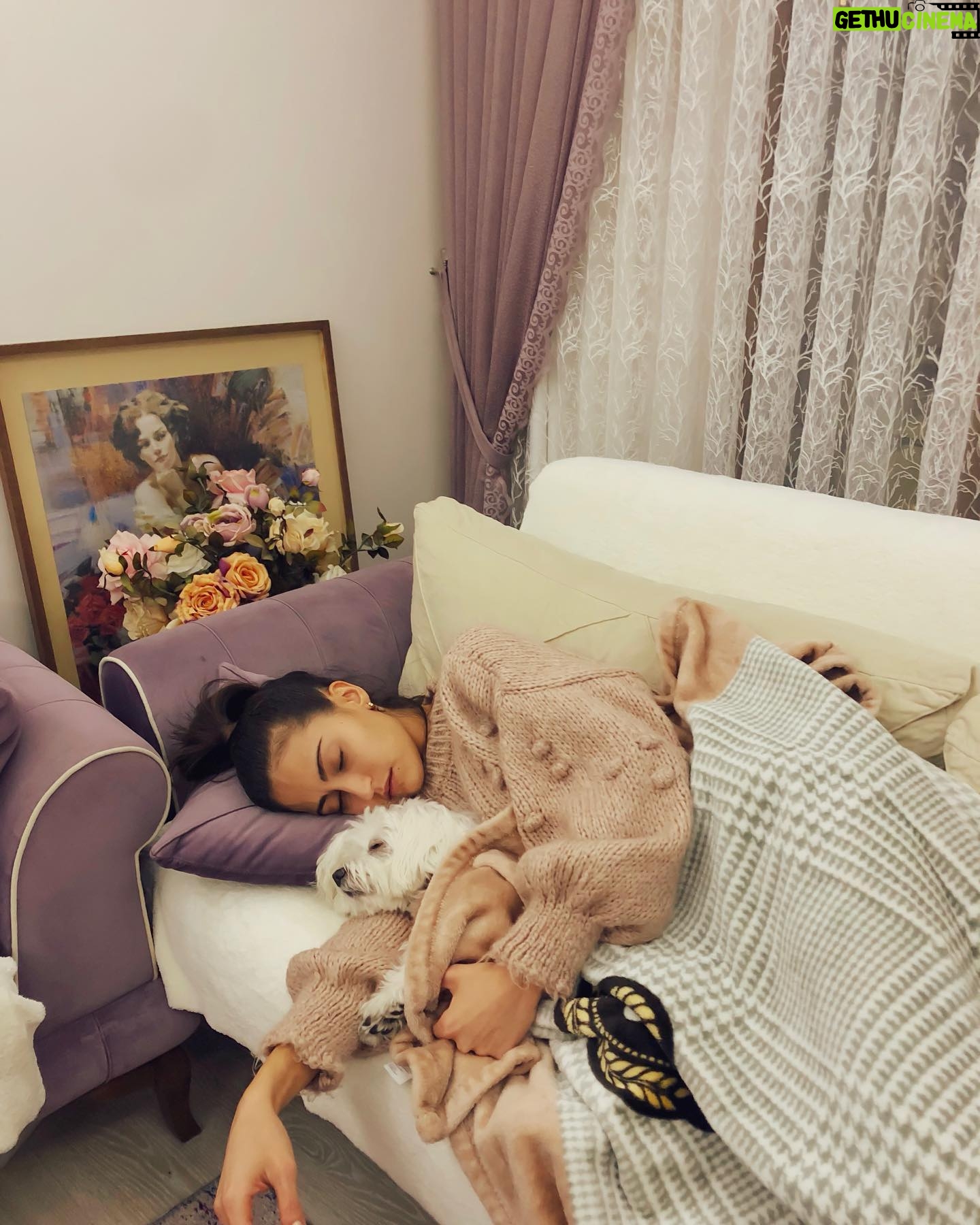 Tuğba Melis Türk Instagram - Bu fotografa kalbimi bırakıyorum❤️ #huzur uzun zamandır bu kadar tatlı tatlı uykuya dalmamıştım💜 @j.r.alvinnn miniğim seni çok seviyorum🐾