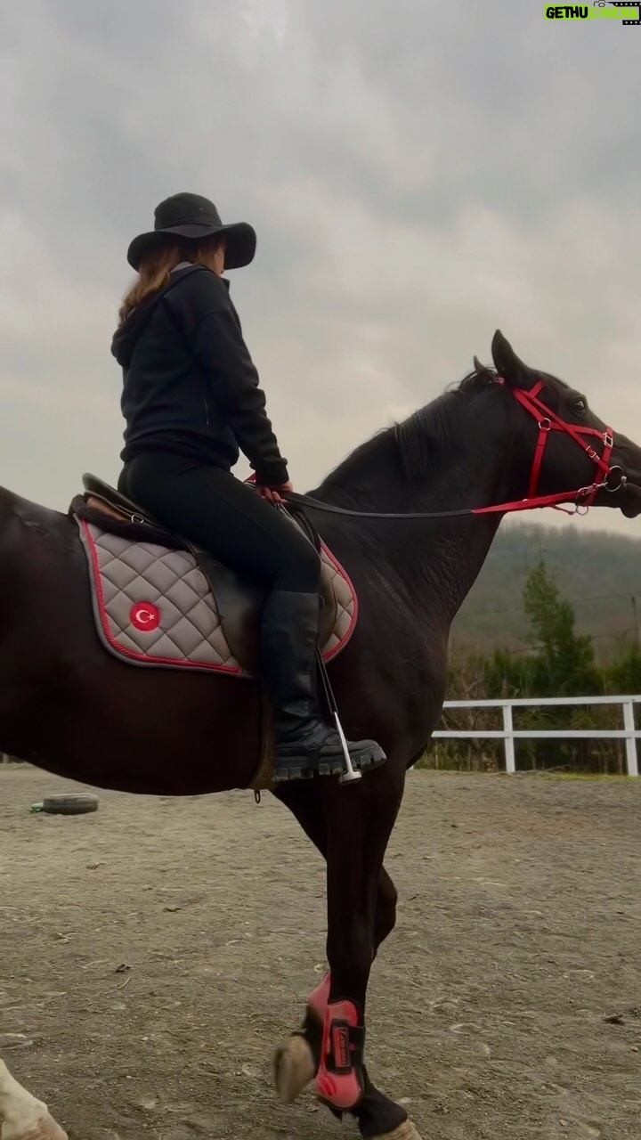 Tuana Naz Tiryaki - 91.4K Likes - 🌲🐎🔋