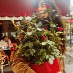 Tuba Büyüküstün Instagram – Bu Hıdırellez’de evimin yakınlarında gül ağacı bulamayınca ben ..🌹
Ne demişler.. ”Demokraside çareler tükenmez.”