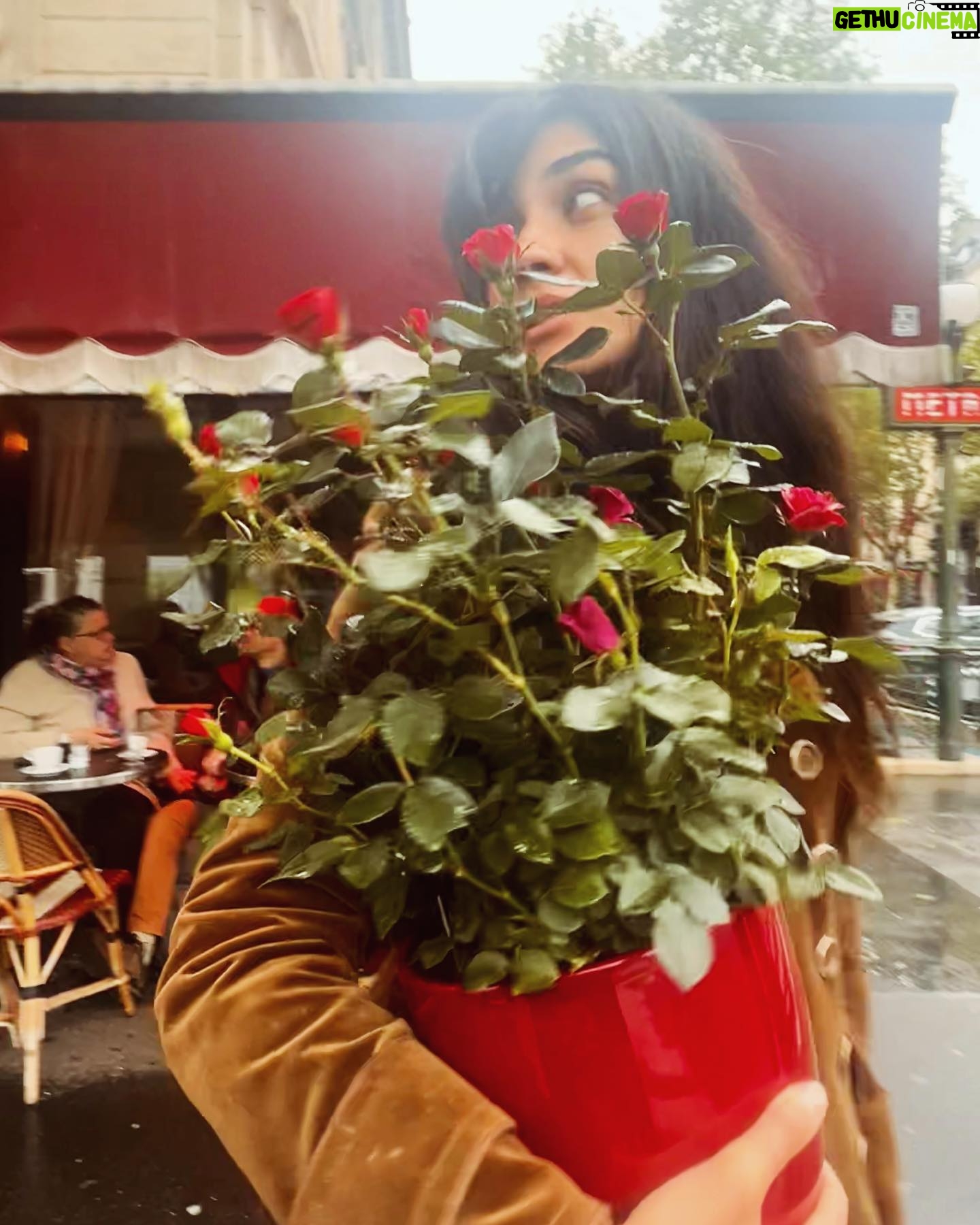 Tuba Büyüküstün Instagram - Bu Hıdırellez’de evimin yakınlarında gül ağacı bulamayınca ben ..🌹 Ne demişler.. ”Demokraside çareler tükenmez.”
