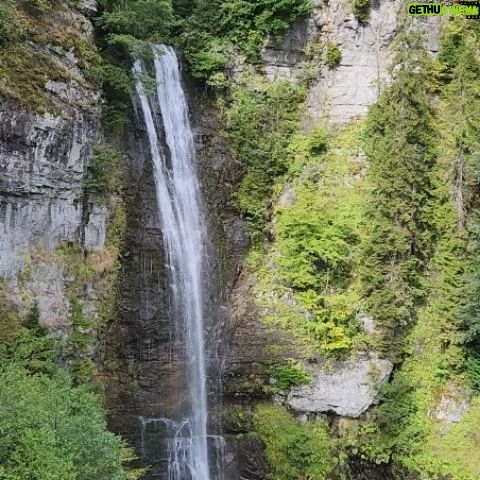 Tuba Ünsal Instagram - Rüya gibi... @endemicalp i aramamla başladı herşey. Siz gelin gerisine bakarız dedi ve çıktik yola. Macahel Karadenizdeki 2. destinasyonumuzdu. Burasını rüya gibi yapan iki şey var. Doğası mucize gibi ama ondan önce gelen şey insanları. Bu kadar misafirperver bu kadar candan çok az insan tanıdım. Macahel de öyle kafeler restorantlar yok, insanların sizi evlerinde ağırlaması lazım.Çok şanslıyız ki Alp i herkes seviyor. Kimin kapısını çalsak muhlamamız da ekmeğimiz de önümüze konuyor. Tur rehberiyle dolaşmak istememe fikrimi değistiren kişi olarak benim tarihime geçiyor Alp. O olmasaydı burası da bu yolculuk da eksik kalırdı. @endemictours iki kisiden olusan dev kadro. Ikisi de hem bölgeye hakim hem de iyi niyetli insanlar.Oyle dalavere isler yok bu şirkette. Ne diyorlarsa O. Bugun hava yağıslı bir yere kımıldayamadık bakalım yarın yolculuk nereye olacak. Burası Maral Selalesi.Sare ye söz verdim yazın gelip burada yüzücez.