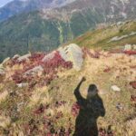 Tuba Ünsal Instagram – Karadeniz uzun zamandır gelmek istediğim bir bölge. Hızlı bir kararla bir günde karar verip bavul yapıp yola çıkıyorum. Seyehat olayında uzun zaman onceden baslamıyor benim planlar.O an neye ihtiyacım varsa ona gore bir rota belirliyorum. Bu sefer ruhumdan doğa sesleri yükseliyor. Ilk durağım @hakoni.house Selen ve Selçuk hemen organize ediyorlar beni. Fındıklı köyunun en guzel noktasında rüya gibi bir otel. Sanırım Karadenizin en güzel otellerinden. Sahibi Osman beylerin yaylalarına çıkmak ıcin plan yapıyoruz
Hokana otelden 1 saatte Kayadibi yaylasina variyoruz.Bulutlar deniz gibi altimiza serilmis.Oradan daha yukarıya Kucuk yaylaya cikiyoruz. 2540 metre yuksekteyiz. Her yerde likapa bizim bildigimiz ismiyle yaban mersinleri var.inanilmaz bir manzara ve yesilin her tonu nefes kesici. Arkasindan buzullarla kapli bir yoldan gecip Ovid golune geliyoruz.Hakoni isletmecisi aile üyesi Selçuk hemen göle atlıyor.Uzunca bir sure Hakoninin inşaatıyla ugrastığı icin bu sene  deniz, göl hayal olmuş. 
Fındıklı da hersey masal gibi.Selalede yuzuyoruz, eski yasami gormek icin konakları dolasıyoruz ve inanilmaz lezzetli yemekler yiyoruz

En lezzetli yemekleri yediğimiz yerlerden biri Livadi restaurant nehir kenarında bir isletme.Sanırim en iyi muhlamayi burada yedim.Gun batıminda da gelebilirsiniz dolunayda ayın yansımasıyla aksam yemegi de sefalı. Kavurma da burada yemeniz gereken lezzetlerden biri. 
Diger bir önerim de Abu su ürunlerinde somon yemeniz. Kremalı olanı tam bir umami. 
Bir de Isabella diye bir üzüm kesfediyorum. Müthis bir koku
 Yediğim diğer hicbir üzüme  benzemiyor
Herseyin otesinde bu seyehatin en güzel tarafi Osman beyi, Merih hanımı  Selçuğu tanımaktı. Uzun zamandır tanıdığım en güzel insanlar.Simdi rotada Macahel