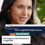 Tulsi Gabbard Instagram - Should the politicians who claim pizza in a school lunch is a “vegetable” really be trusted with children’s well-being?