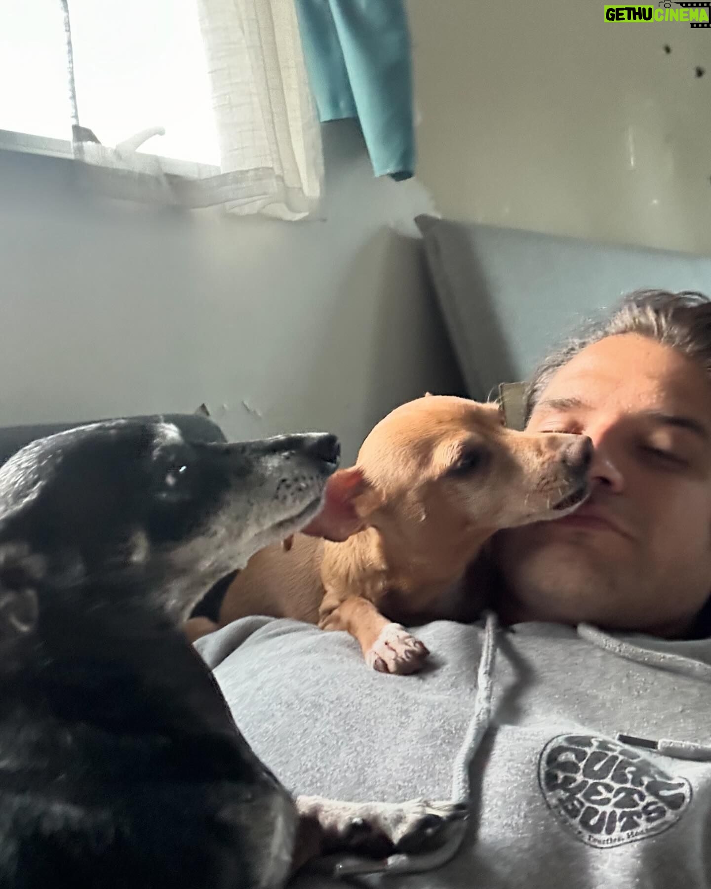 Tyler Posey - 307.7K Likes - Shit that’s made me happy in recent times. Stay tuned for more shit coming soon 🤘hope everyone here has some happy shit for yourselves to look forward too. Love you all
