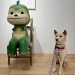 Uhm Jung-hwa Instagram - 슈퍼와 녹색공룡
