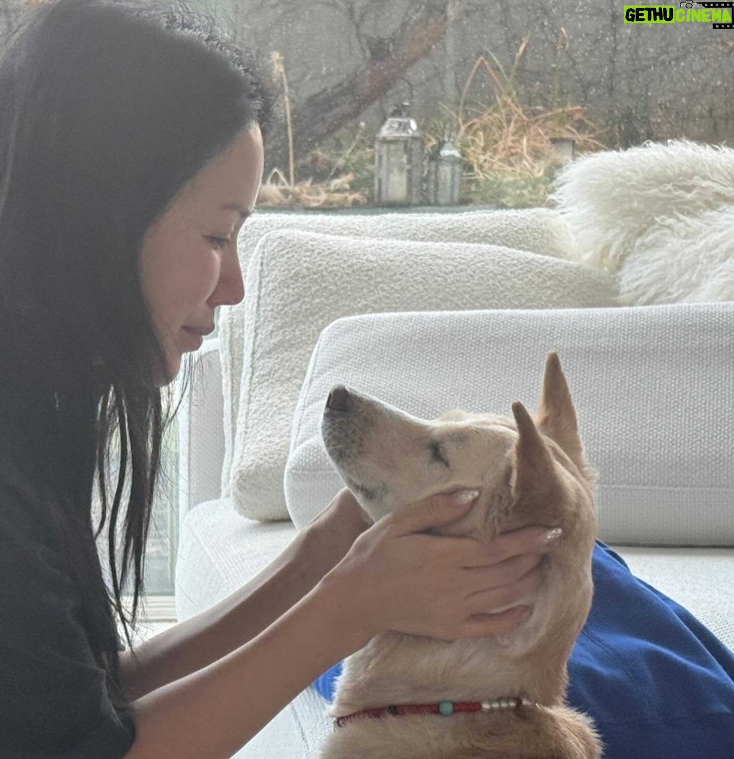 Uhm Jung-hwa Instagram - i love you!!! #super #mybaby