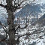 Unika Ray Instagram - Hey stalker! did you enjoy your free visit to my profile from your fake profile today?😝 #unika #kashmir #kashmirtourism #love #moutain #snow