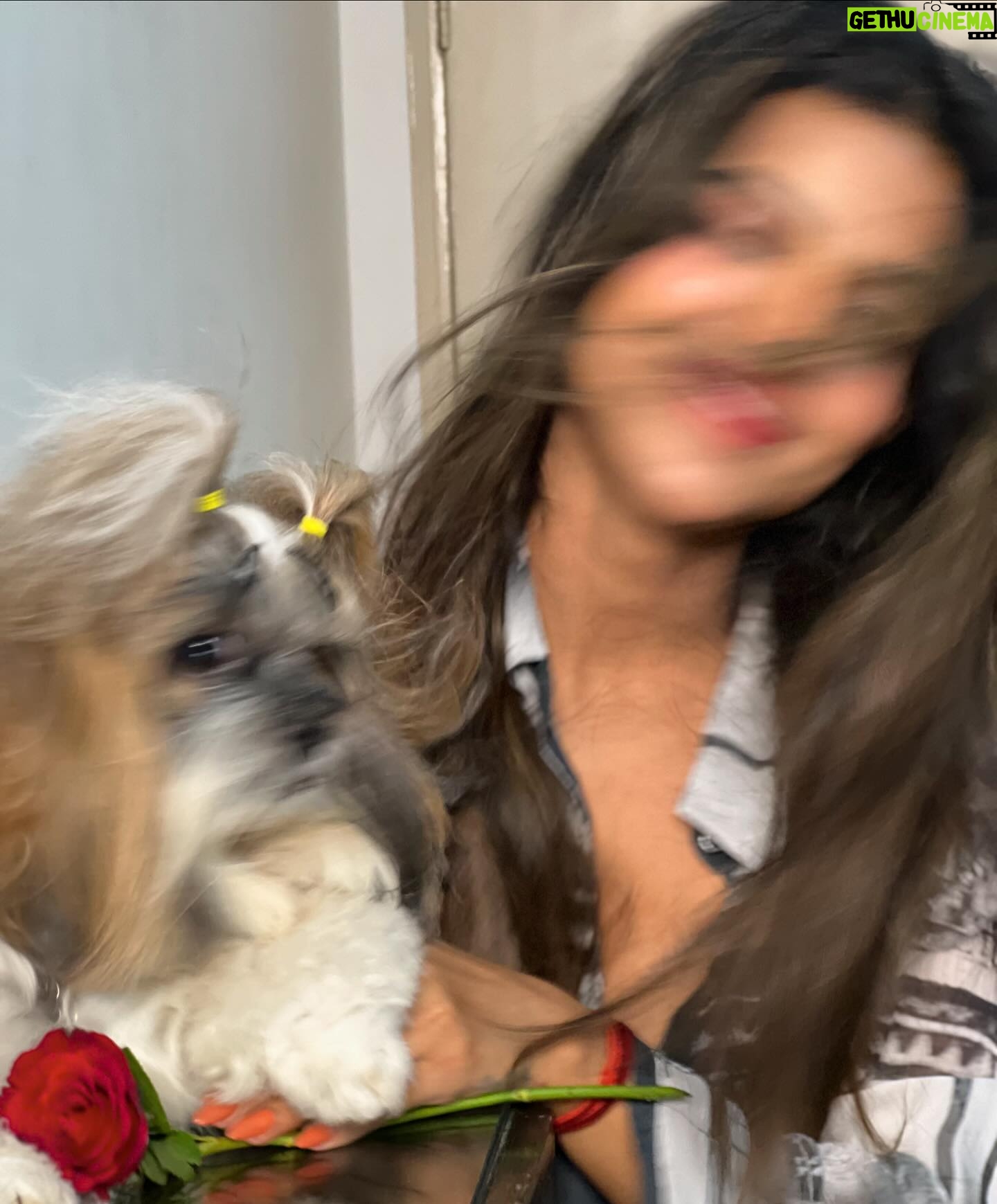 Unika Ray Instagram - Happy birthday to my precious,You are loved more than words can express, and I am so grateful for every moment,i can’t believe that my little one growing up so fast🧿😍 my sonshine ♥️ #unika #larry #larryray #momlife #myson #mysonshine #unconditionallove