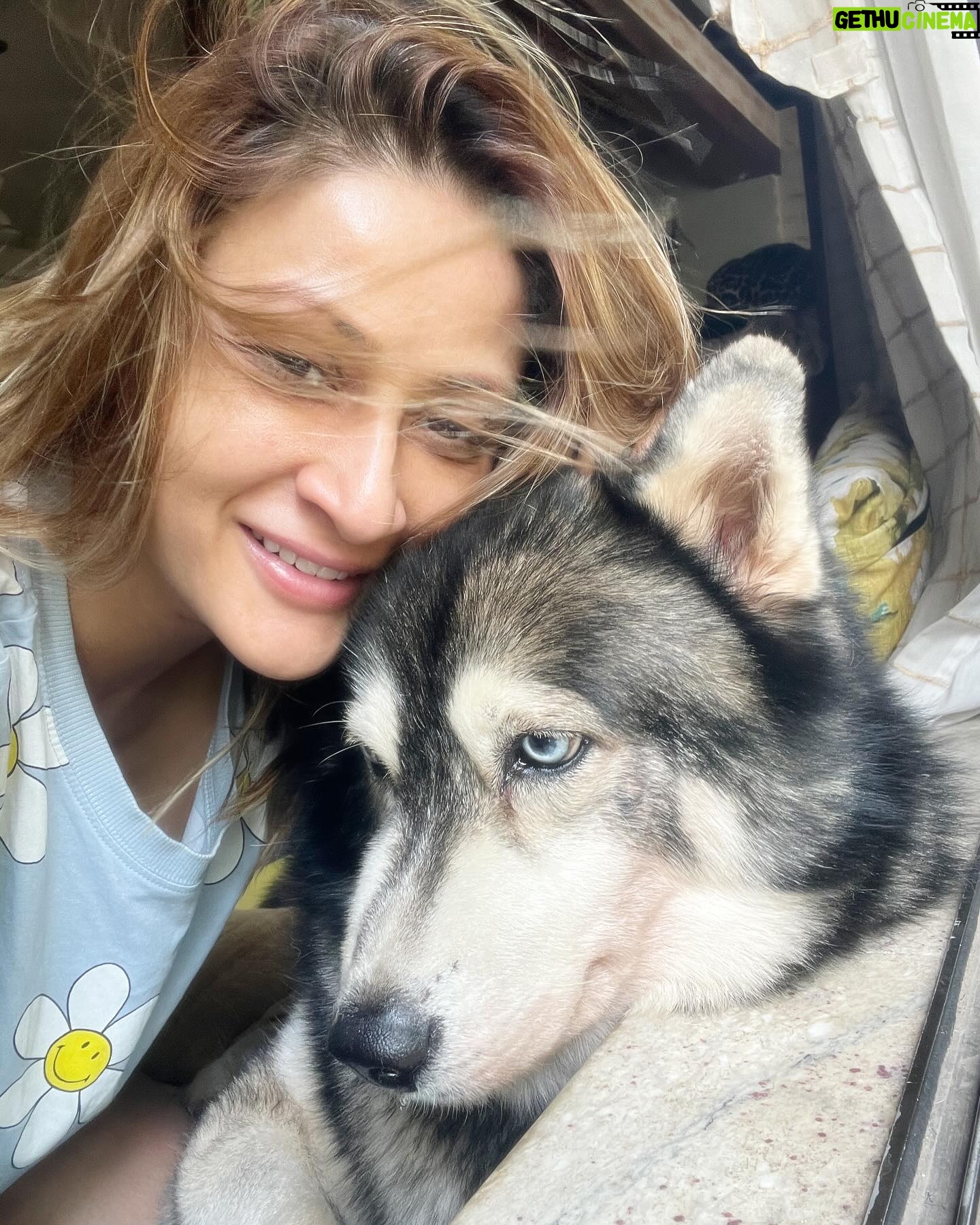 Urvashi Dholakia Instagram - Birthdays are always a big celebration at home with lots of decorations, but unfortunately, due to house renovation this time it could not be possible🙈 But nonetheless, Celebrations must go on, and this is how we celebrate my baby boys birthday for now @jaeger_not_meister ❤️❤️❤️❤️❤️💐💐💐💐💐💐💐 our lives are incomplete without you, my little baby 🫶🏻 yes, I know you turned nine, but you are still a little baby for me and will be forever ❤️❤️ #JAEGER ❤️🧿 #birthdayboy #love : Thank you so much @pupcake.factory for making my little baby, so happy with the lovely cake ❤️🫶🏻